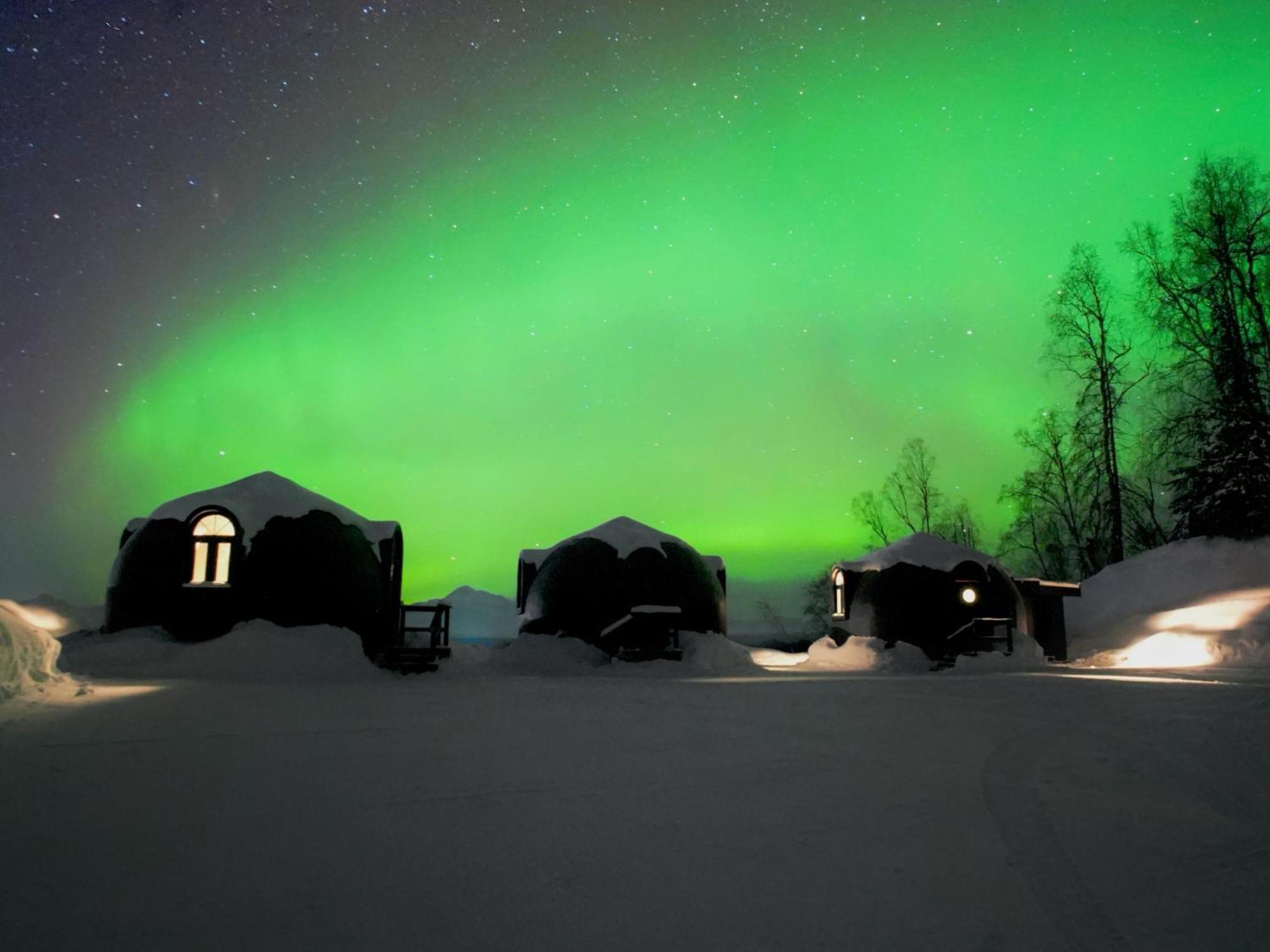 Talkeetna Aerie Adventure Lodge Exterior foto